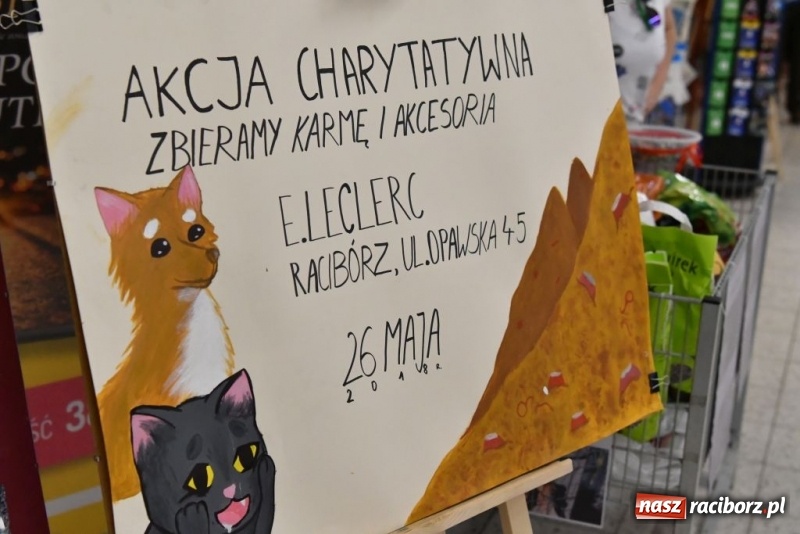 Zdjęcie w galerii na portalu naszraciborz.pl: Uczniowie SP 4 zebrali ponad 900 kilogramów karmy dla zwierząt wiadomości z regionu