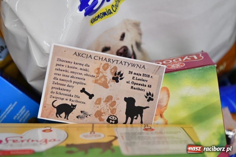 Zdjęcie w galerii na portalu naszraciborz.pl: Uczniowie SP 4 zebrali ponad 900 kilogramów karmy dla zwierząt wiadomości z regionu