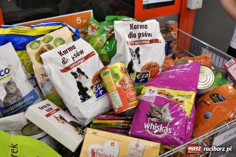 Zdjęcie w galerii na portalu naszraciborz.pl: Uczniowie SP 4 zebrali ponad 900 kilogramów karmy dla zwierząt wiadomości z regionu