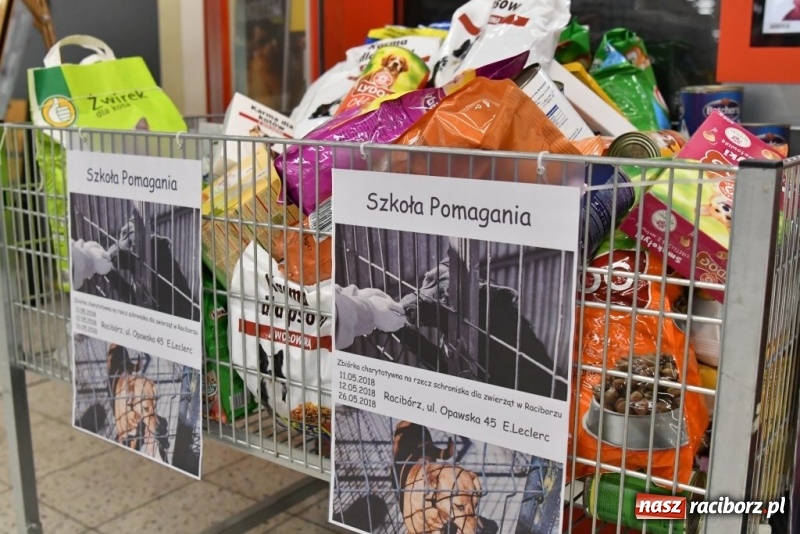 Zdjęcie w galerii na portalu naszraciborz.pl: Uczniowie SP 4 zebrali ponad 900 kilogramów karmy dla zwierząt wiadomości z regionu