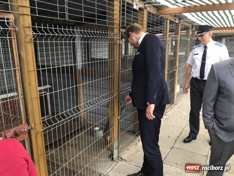 Zdjęcie w galerii na portalu naszraciborz.pl: Rządowy program pracy więźniów z pożytkiem dla raciborskiego schroniska wiadomości z regionu