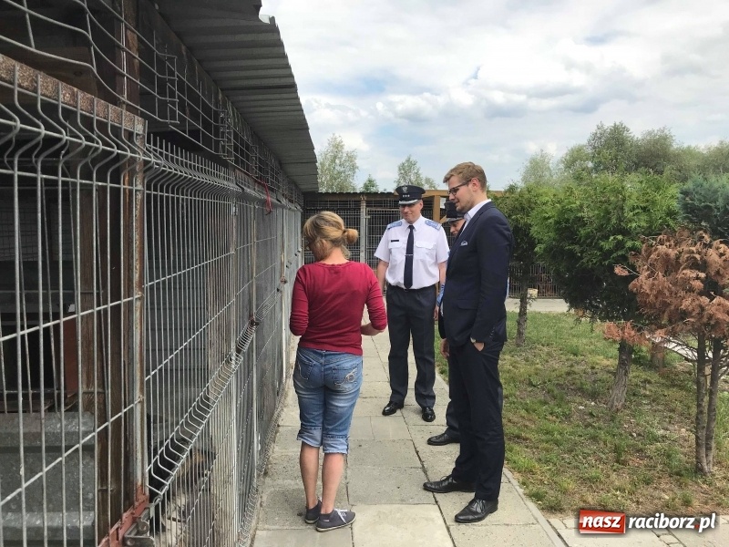 Zdjęcie w galerii na portalu naszraciborz.pl: Rządowy program pracy więźniów z pożytkiem dla raciborskiego schroniska wiadomości z regionu