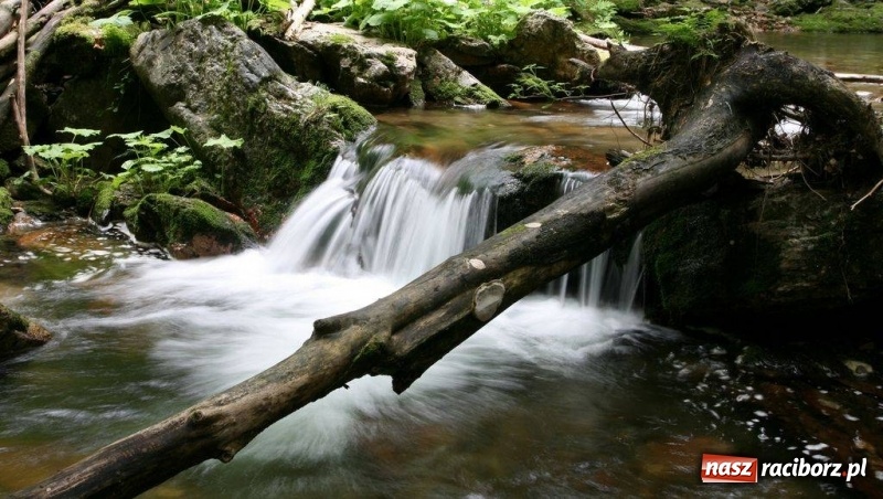 Zdjęcie w galerii na portalu naszraciborz.pl: Wybierz się z nami w Jeseniki!       wiadomości z regionu