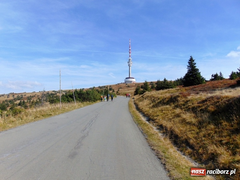 Zdjęcie w galerii na portalu naszraciborz.pl: Wybierz się z nami w Jeseniki!       wiadomości z regionu