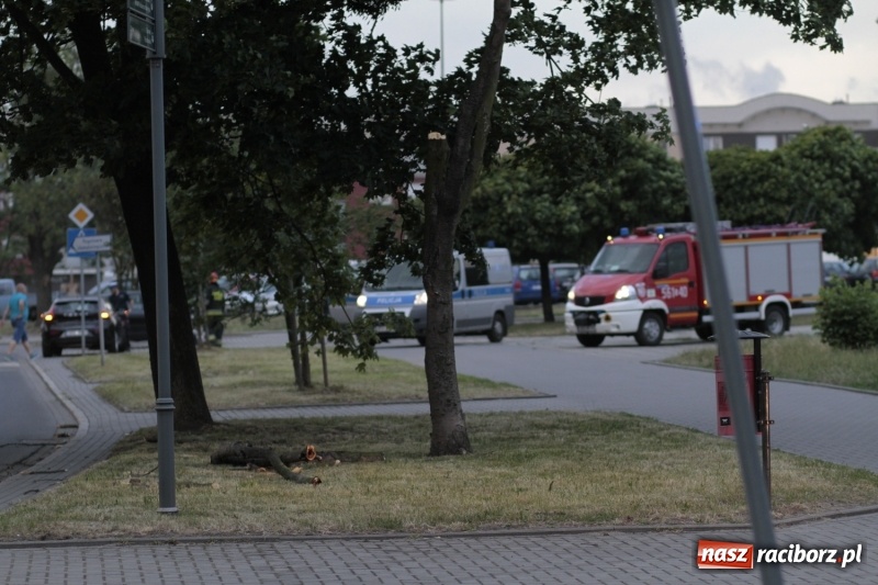 Zdjęcie w galerii na portalu naszraciborz.pl: Służby ostrzegają przed silnym wiatrem. Na opawskiej uszkodzone volvo  wiadomości z regionu