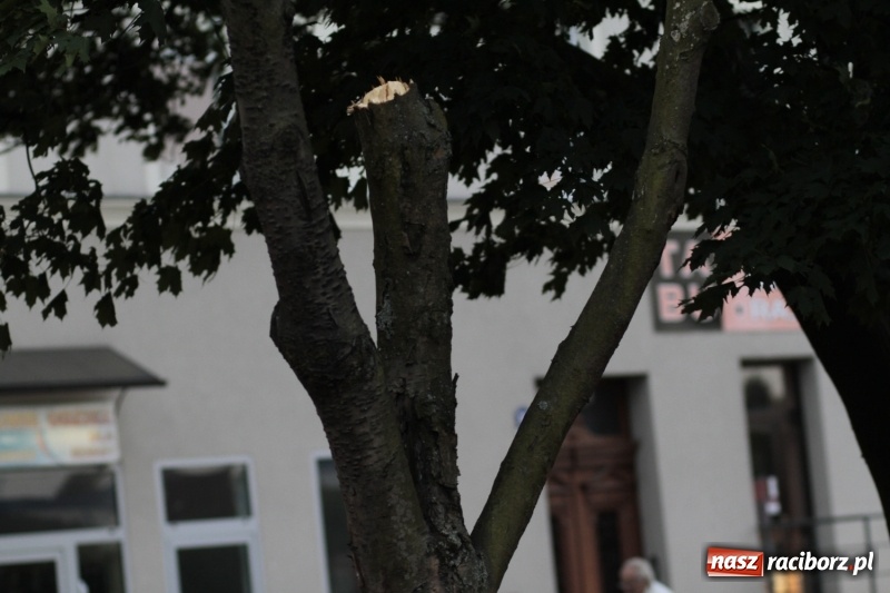 Zdjęcie w galerii na portalu naszraciborz.pl: Służby ostrzegają przed silnym wiatrem. Na opawskiej uszkodzone volvo  wiadomości z regionu