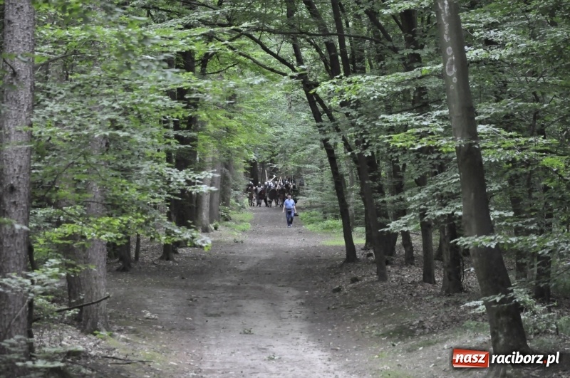 Zdjęcie w galerii na portalu naszraciborz.pl: Ruszył Raciborski Festiwal Średniowieczny. Zobaczcie leśne manewry wojów  wiadomości z regionu