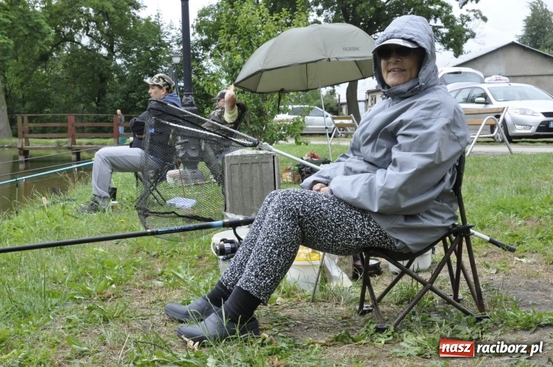 Zdjęcie w galerii na portalu naszraciborz.pl: Ryby źle znoszą zmianę frontu. Słabe wyniki podczas zawodów w Krowiarkach  wiadomości z regionu
