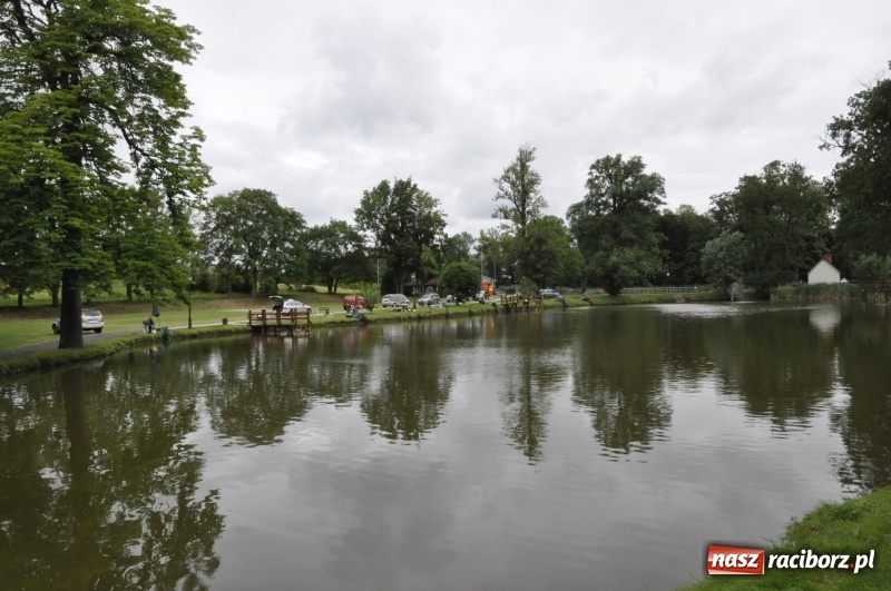 Zdjęcie w galerii na portalu naszraciborz.pl: Ryby źle znoszą zmianę frontu. Słabe wyniki podczas zawodów w Krowiarkach  wiadomości z regionu