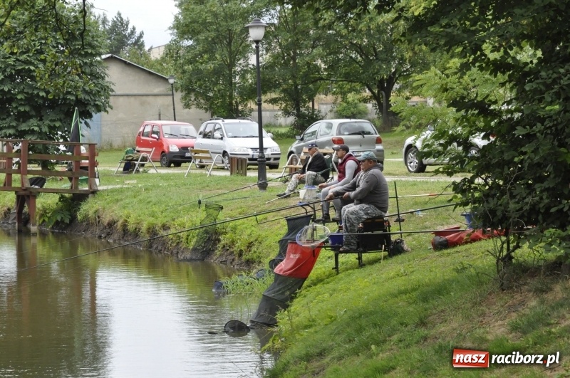 Zdjęcie w galerii na portalu naszraciborz.pl: Ryby źle znoszą zmianę frontu. Słabe wyniki podczas zawodów w Krowiarkach  wiadomości z regionu