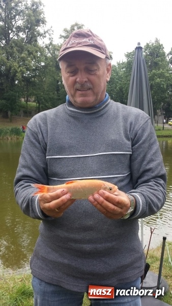 Zdjęcie w galerii na portalu naszraciborz.pl: Ryby źle znoszą zmianę frontu. Słabe wyniki podczas zawodów w Krowiarkach  wiadomości z regionu
