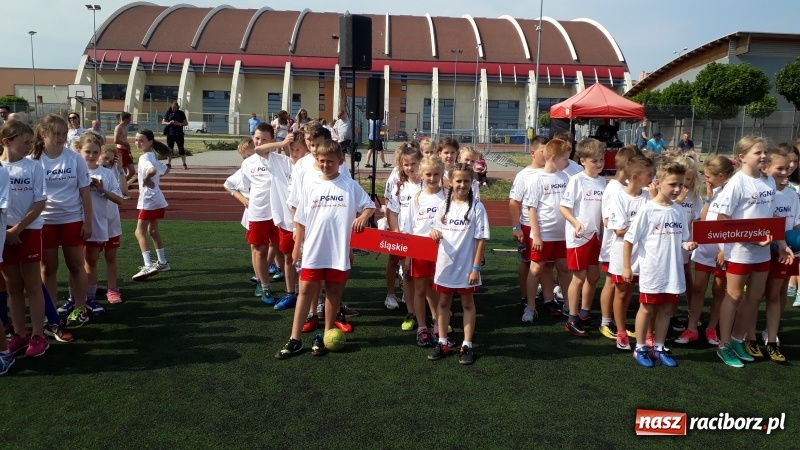 Zdjęcie w galerii na portalu naszraciborz.pl: Szczypiornistki z Pietrowic piąte w Polsce wiadomości z regionu