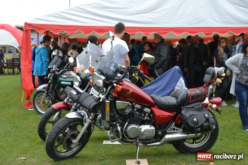 Zdjęcie w galerii na portalu naszraciborz.pl: Szrot czy sztos? Co jeździ po naszych drogach?  wiadomości z regionu