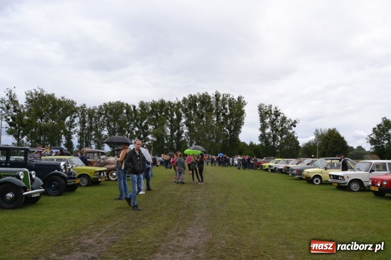 Zdjęcie w galerii na portalu naszraciborz.pl: Szrot czy sztos? Co jeździ po naszych drogach?  wiadomości z regionu