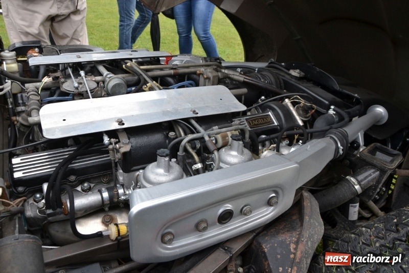 Zdjęcie w galerii na portalu naszraciborz.pl: Szrot czy sztos? Co jeździ po naszych drogach?  wiadomości z regionu