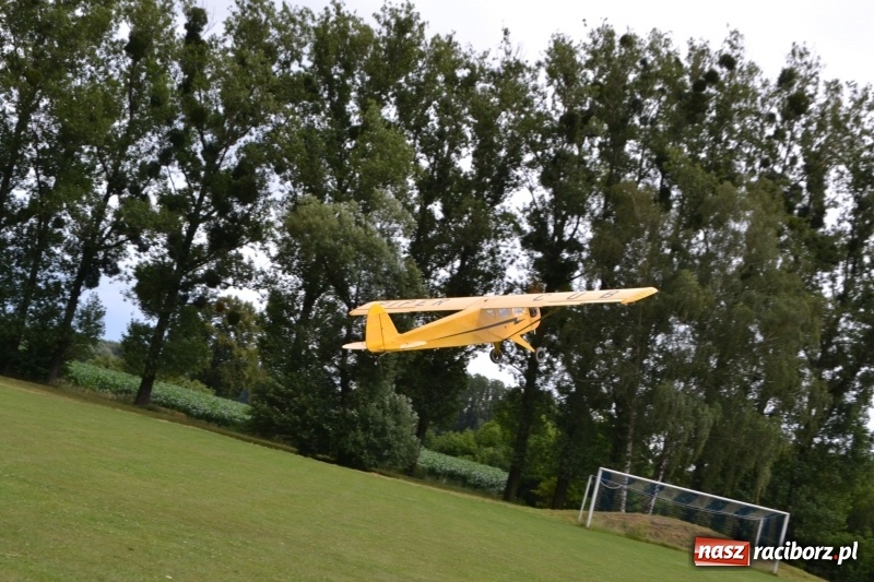 Zdjęcie w galerii na portalu naszraciborz.pl: Szrot czy sztos? Co jeździ po naszych drogach?  wiadomości z regionu