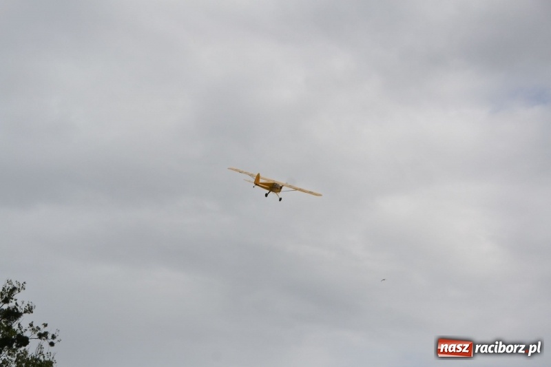 Zdjęcie w galerii na portalu naszraciborz.pl: Szrot czy sztos? Co jeździ po naszych drogach?  wiadomości z regionu