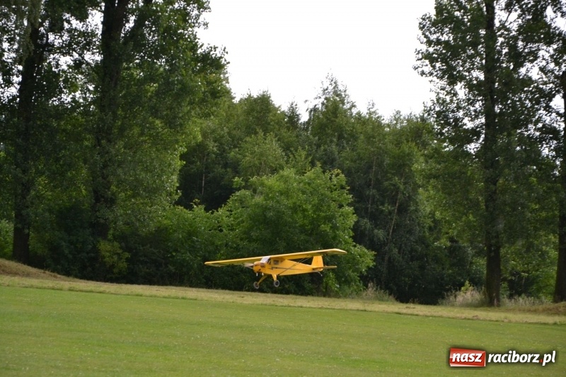 Zdjęcie w galerii na portalu naszraciborz.pl: Szrot czy sztos? Co jeździ po naszych drogach?  wiadomości z regionu
