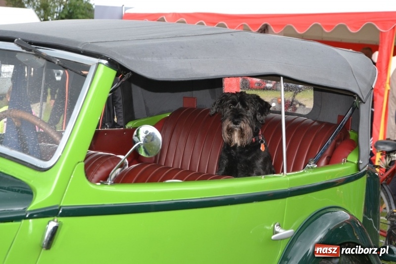 Zdjęcie w galerii na portalu naszraciborz.pl: Szrot czy sztos? Co jeździ po naszych drogach?  wiadomości z regionu