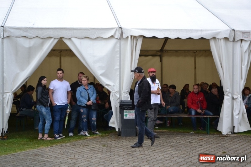 Zdjęcie w galerii na portalu naszraciborz.pl: Szrot czy sztos? Co jeździ po naszych drogach?  wiadomości z regionu