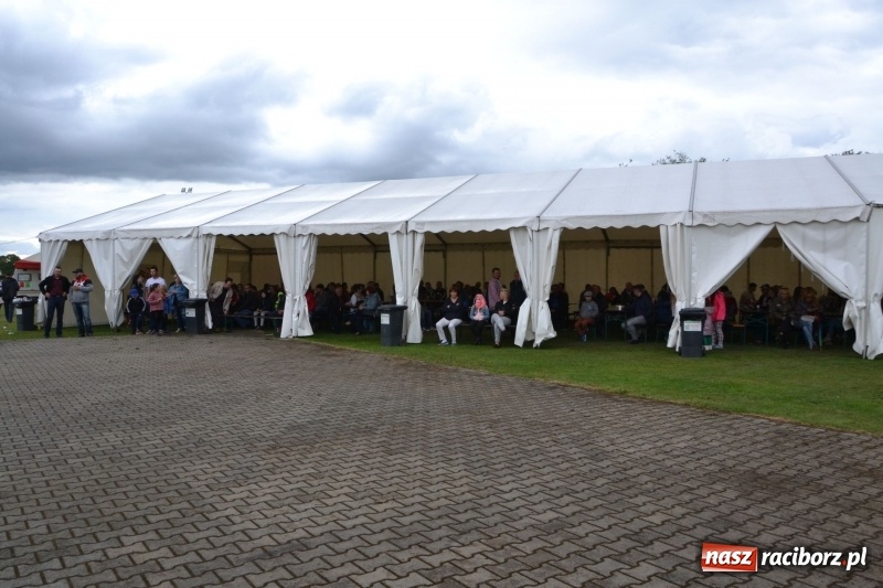 Zdjęcie w galerii na portalu naszraciborz.pl: Szrot czy sztos? Co jeździ po naszych drogach?  wiadomości z regionu