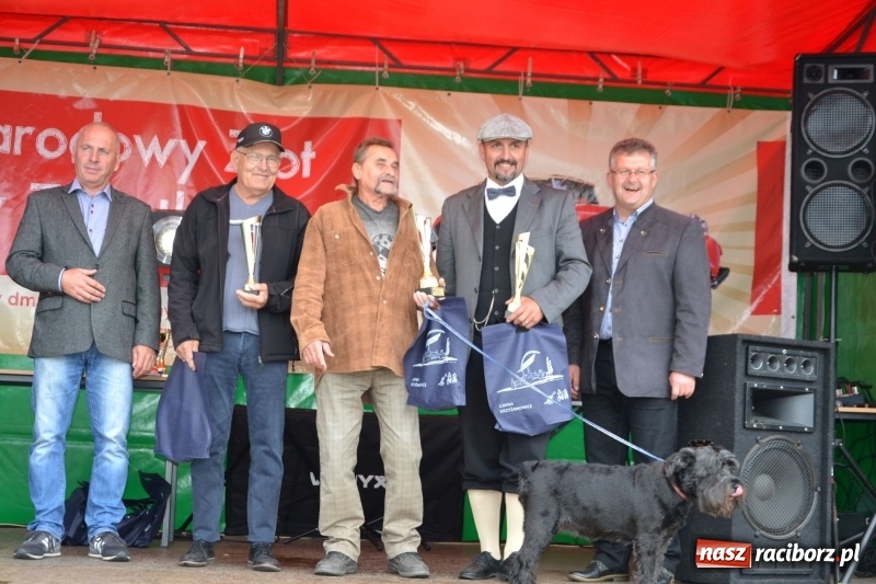 Zdjęcie w galerii na portalu naszraciborz.pl: Szrot czy sztos? Co jeździ po naszych drogach?  wiadomości z regionu