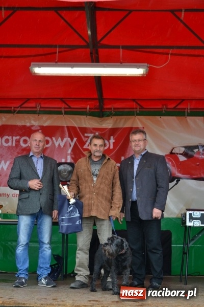 Zdjęcie w galerii na portalu naszraciborz.pl: Szrot czy sztos? Co jeździ po naszych drogach?  wiadomości z regionu