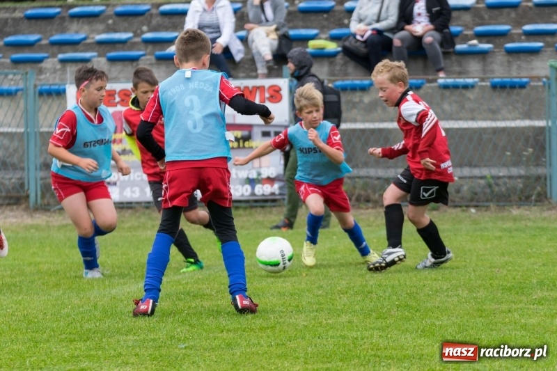 Zdjęcie w galerii na portalu naszraciborz.pl: Górki Cup 2018 pełne emocji i dobrej gry. Dla kogo puchar Wójta Gminy Nędza? wiadomości z regionu