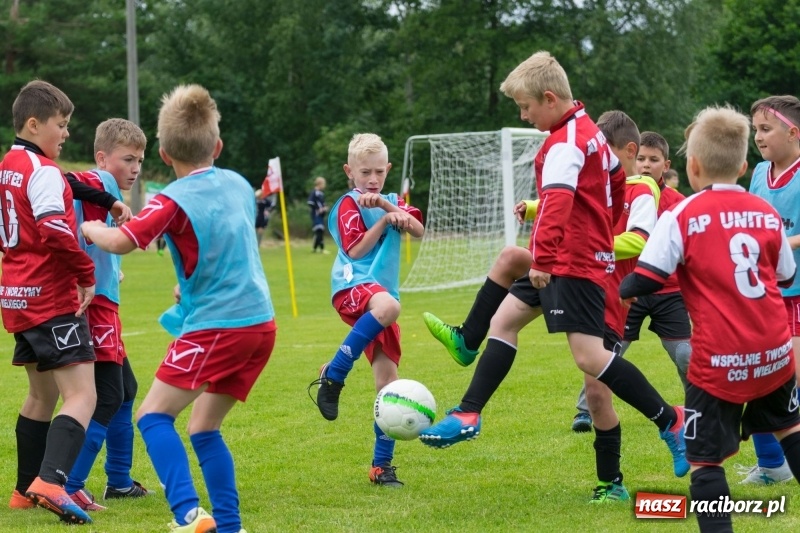 Zdjęcie w galerii na portalu naszraciborz.pl: Górki Cup 2018 pełne emocji i dobrej gry. Dla kogo puchar Wójta Gminy Nędza? wiadomości z regionu