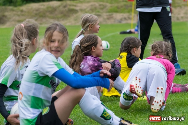 Zdjęcie w galerii na portalu naszraciborz.pl: Górki Cup 2018 pełne emocji i dobrej gry. Dla kogo puchar Wójta Gminy Nędza? wiadomości z regionu