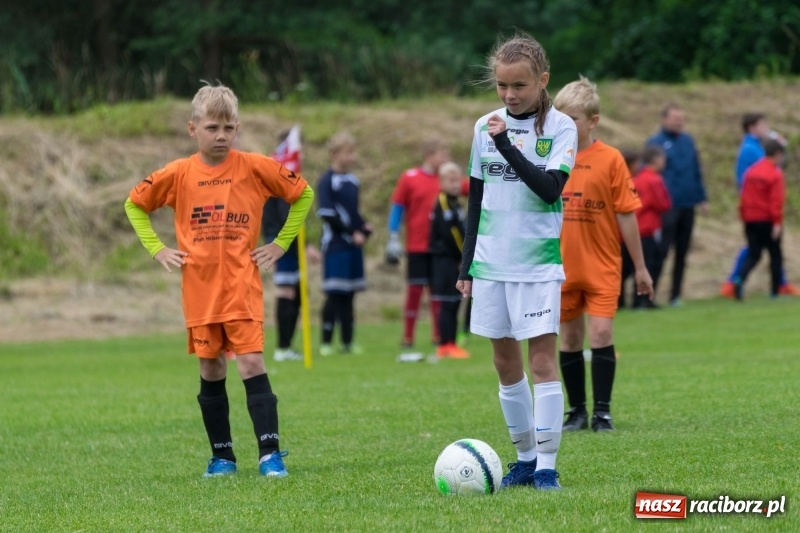 Zdjęcie w galerii na portalu naszraciborz.pl: Górki Cup 2018 pełne emocji i dobrej gry. Dla kogo puchar Wójta Gminy Nędza? wiadomości z regionu