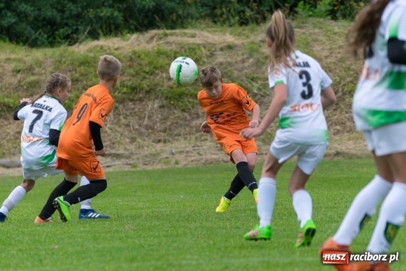 Zdjęcie w galerii na portalu naszraciborz.pl: Górki Cup 2018 pełne emocji i dobrej gry. Dla kogo puchar Wójta Gminy Nędza? wiadomości z regionu