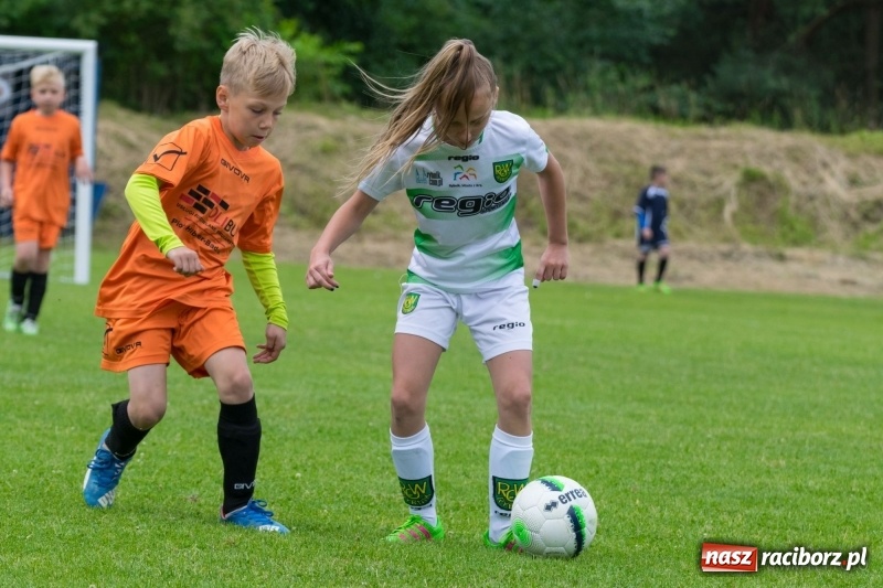 Zdjęcie w galerii na portalu naszraciborz.pl: Górki Cup 2018 pełne emocji i dobrej gry. Dla kogo puchar Wójta Gminy Nędza? wiadomości z regionu