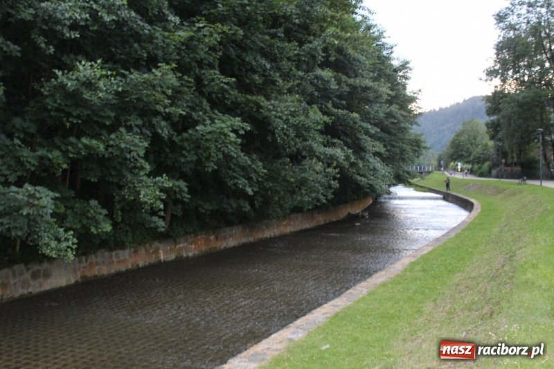 Zdjęcie w galerii na portalu naszraciborz.pl: Zapaśnicy MKZ Unii Racibórz i Lokomotiva Krnov na zgrupowaniu w Szczyrku wiadomości z regionu