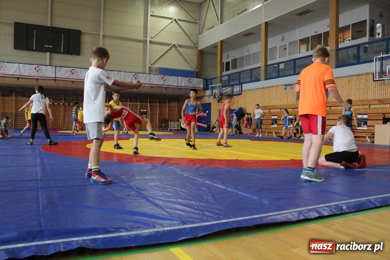 Zdjęcie w galerii na portalu naszraciborz.pl: Zapaśnicy MKZ Unii Racibórz i Lokomotiva Krnov na zgrupowaniu w Szczyrku wiadomości z regionu
