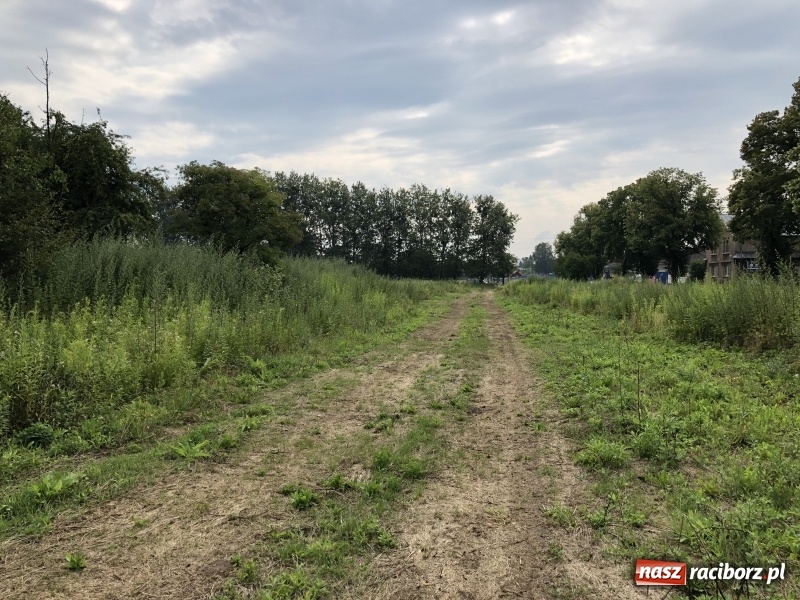 Zdjęcie w galerii na portalu naszraciborz.pl: Na Łąkowej kopią fundamenty. Do jesieni przyszłego roku ma powstać pierwsze 48 mieszkań wiadomości z regionu