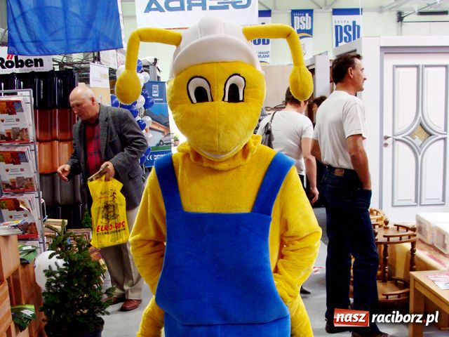 Zdjęcie w galerii na portalu naszraciborz.pl: Eko-Wystawa ruszyła wiadomości z regionu