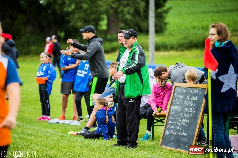 Zdjęcie w galerii na portalu naszraciborz.pl: Mistrzostwa Polski w Piłce Palantowej Seniorów i Juniorów  wiadomości z regionu