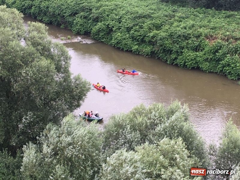 Zdjęcie w galerii na portalu naszraciborz.pl: Sezon wodniacki na Odrze oficjalnie rozpoczęty  wiadomości z regionu