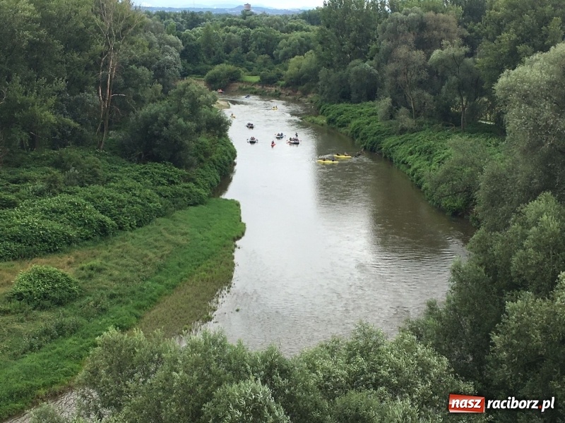 Zdjęcie w galerii na portalu naszraciborz.pl: Sezon wodniacki na Odrze oficjalnie rozpoczęty  wiadomości z regionu