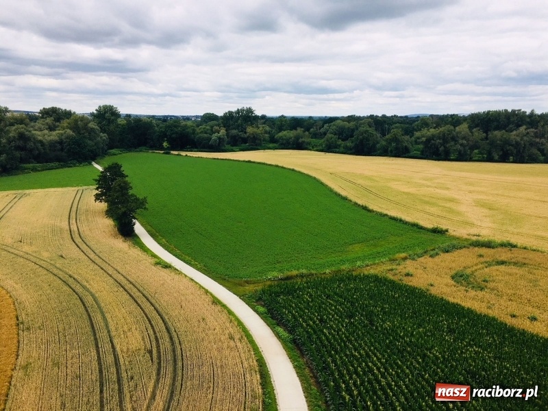 Zdjęcie w galerii na portalu naszraciborz.pl: Sezon wodniacki na Odrze oficjalnie rozpoczęty  wiadomości z regionu