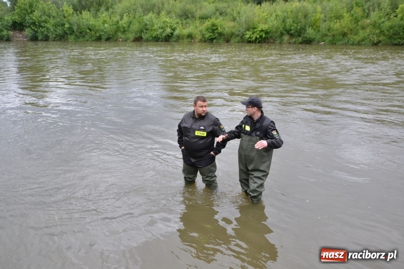 Zdjęcie w galerii na portalu naszraciborz.pl: Sezon wodniacki na Odrze oficjalnie rozpoczęty  wiadomości z regionu