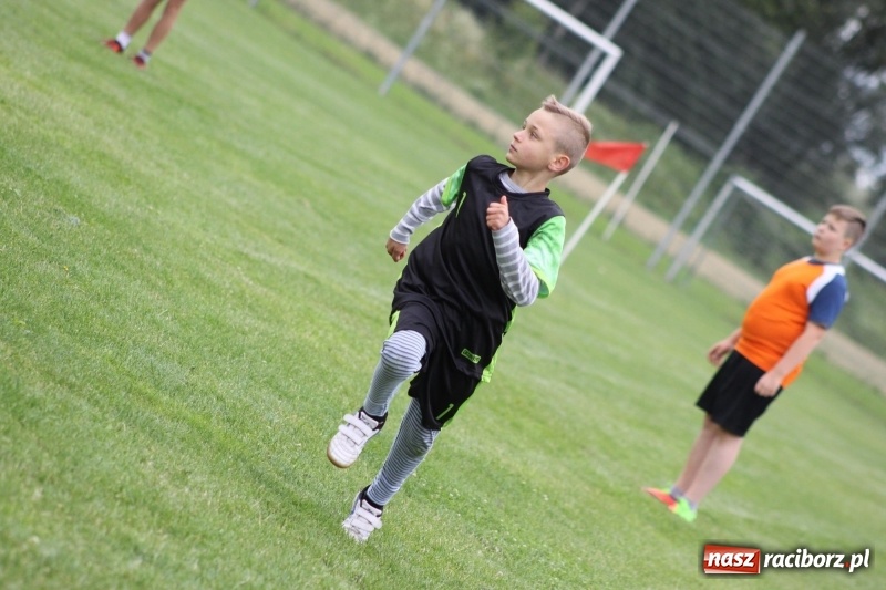 Zdjęcie w galerii na portalu naszraciborz.pl: Cyprzanów i Wojnowice mistrzami Polski  wiadomości z regionu