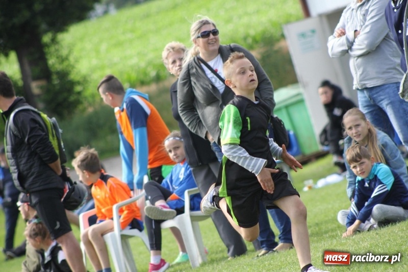 Zdjęcie w galerii na portalu naszraciborz.pl: Cyprzanów i Wojnowice mistrzami Polski  wiadomości z regionu