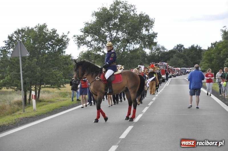 Zdjęcie w galerii na portalu naszraciborz.pl: Zawody sikawek konnych w Bieńkowicach. Sąsiedzi z Tworkowa zgarnęli dwa złota wiadomości z regionu