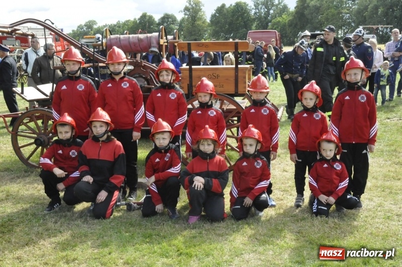 Zdjęcie w galerii na portalu naszraciborz.pl: Zawody sikawek konnych w Bieńkowicach. Sąsiedzi z Tworkowa zgarnęli dwa złota wiadomości z regionu