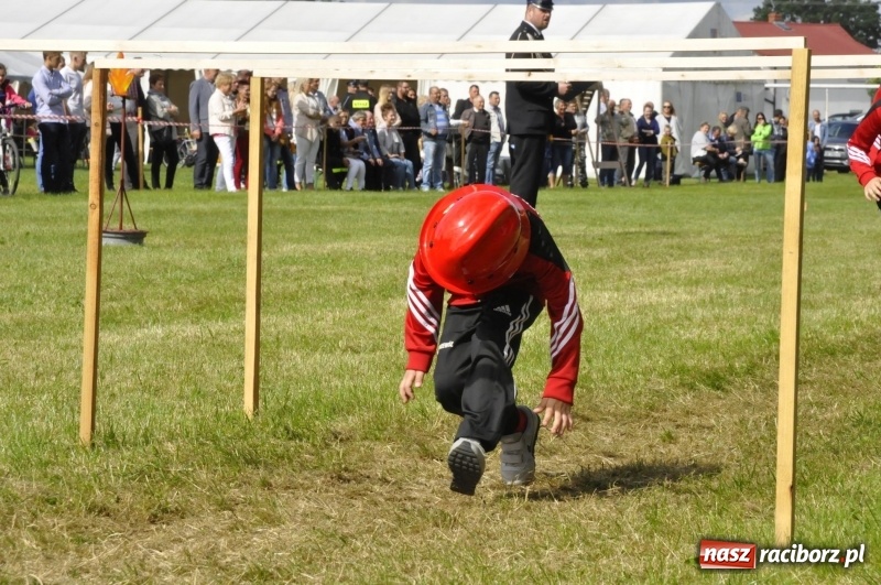 Zdjęcie w galerii na portalu naszraciborz.pl: Zawody sikawek konnych w Bieńkowicach. Sąsiedzi z Tworkowa zgarnęli dwa złota wiadomości z regionu