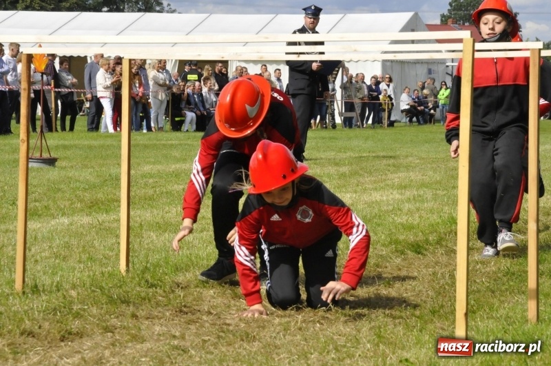 Zdjęcie w galerii na portalu naszraciborz.pl: Zawody sikawek konnych w Bieńkowicach. Sąsiedzi z Tworkowa zgarnęli dwa złota wiadomości z regionu