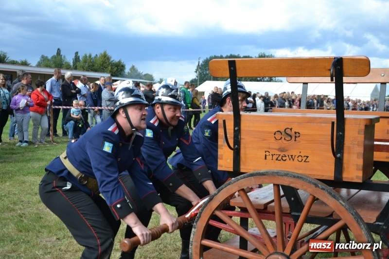 Zdjęcie w galerii na portalu naszraciborz.pl: Zawody sikawek konnych w Bieńkowicach. Sąsiedzi z Tworkowa zgarnęli dwa złota wiadomości z regionu