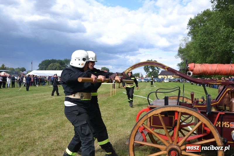 Zdjęcie w galerii na portalu naszraciborz.pl: Zawody sikawek konnych w Bieńkowicach. Sąsiedzi z Tworkowa zgarnęli dwa złota wiadomości z regionu
